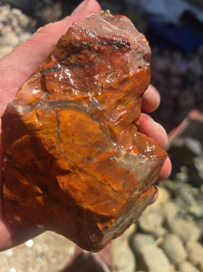 Jasper, Red: Paparika Red