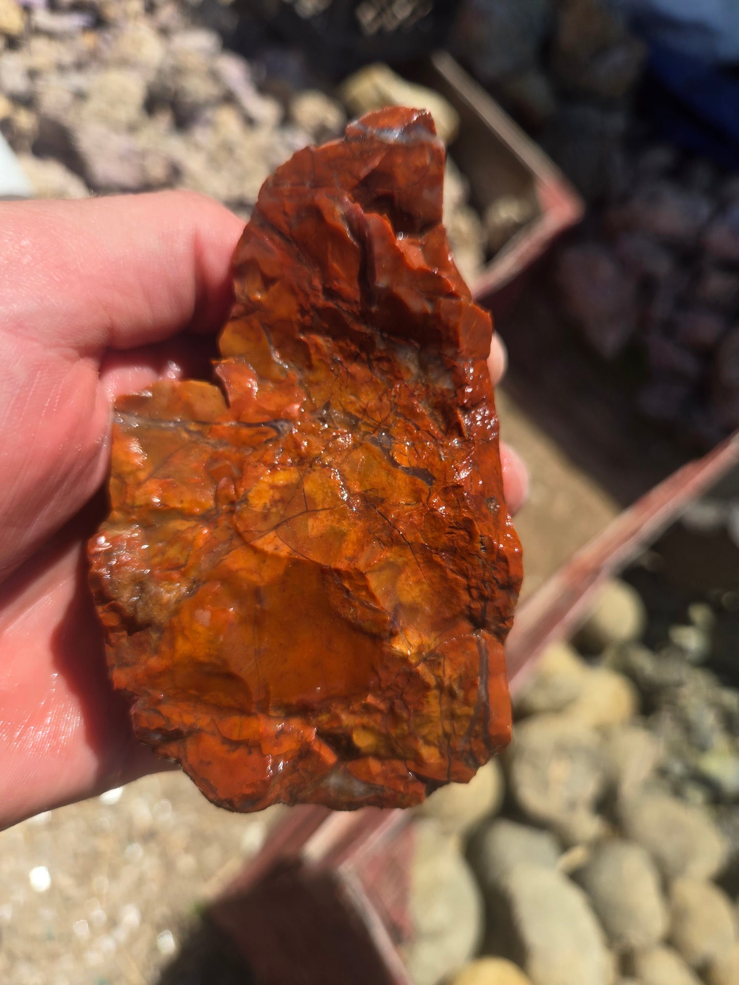 Jasper, Red: Paparika Red