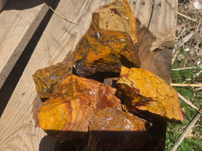 Jasper, Yellow: Canary Day