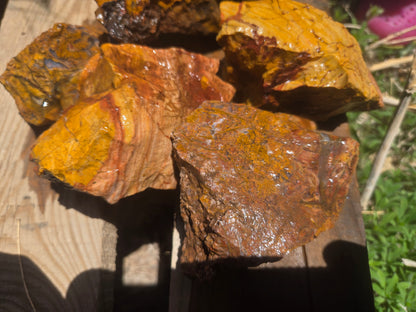 Jasper, Yellow: Canary Day