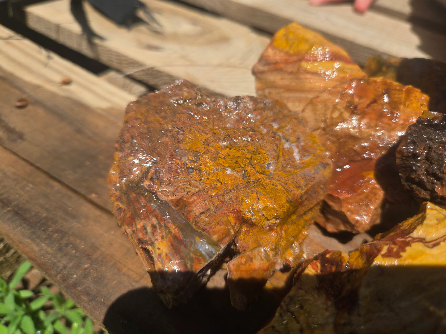 Jasper, Yellow: Canary Day