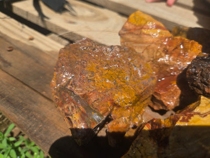 Jasper, Yellow: Canary Day