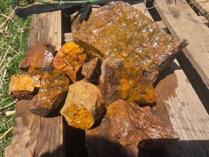 Jasper, Yellow: Canary Day