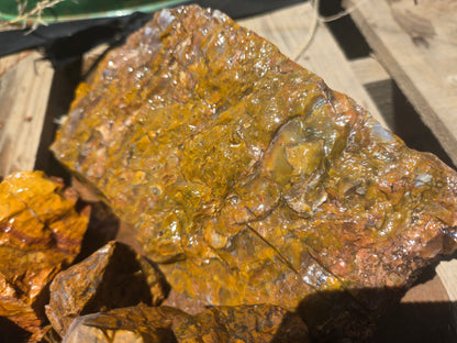 Jasper, Yellow: Canary Day