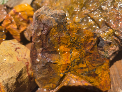 Jasper, Yellow: Canary Day