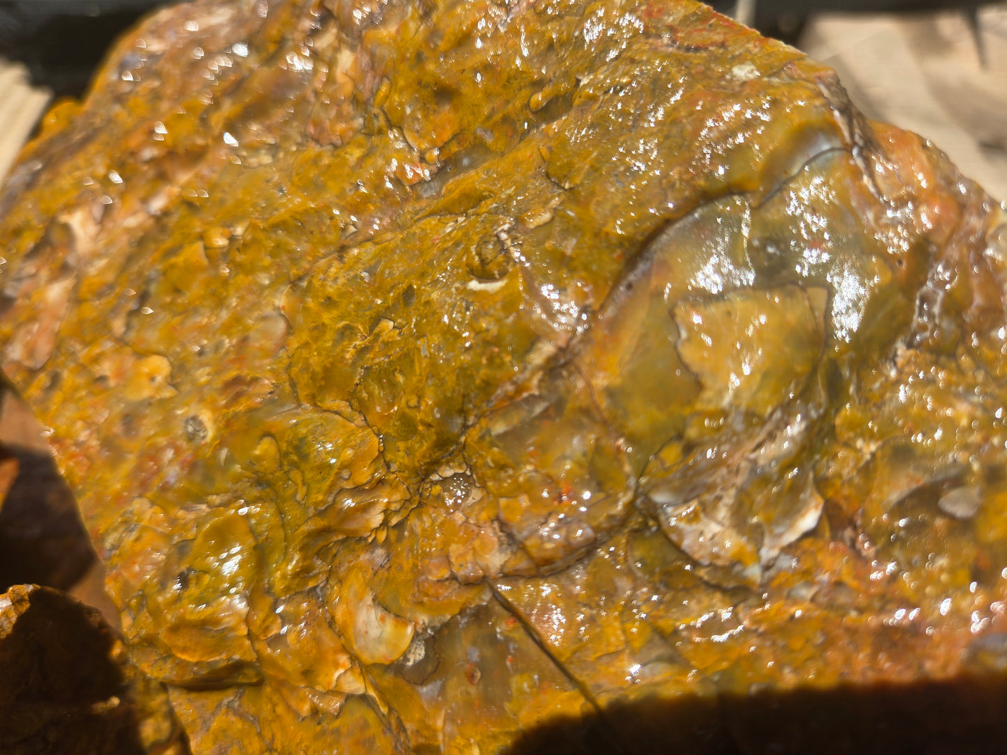 Jasper, Yellow: Canary Day
