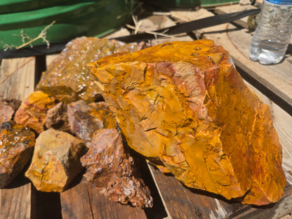 Jasper, Yellow: Canary Day