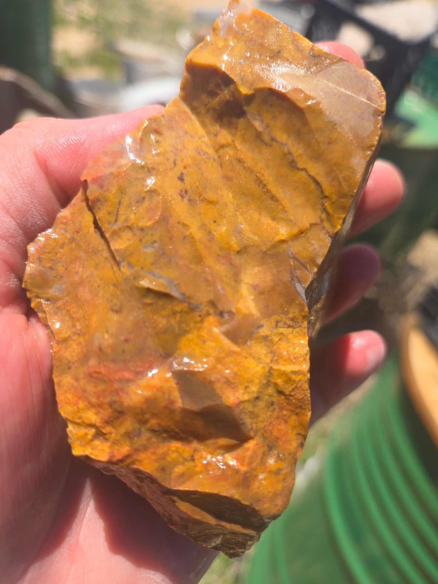 Jasper, Yellow: Canary Day