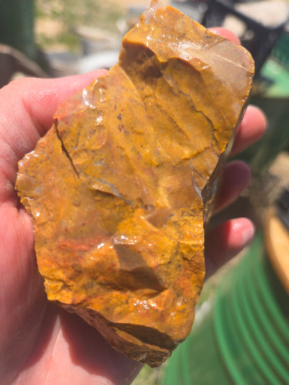 Jasper, Yellow: Canary Day