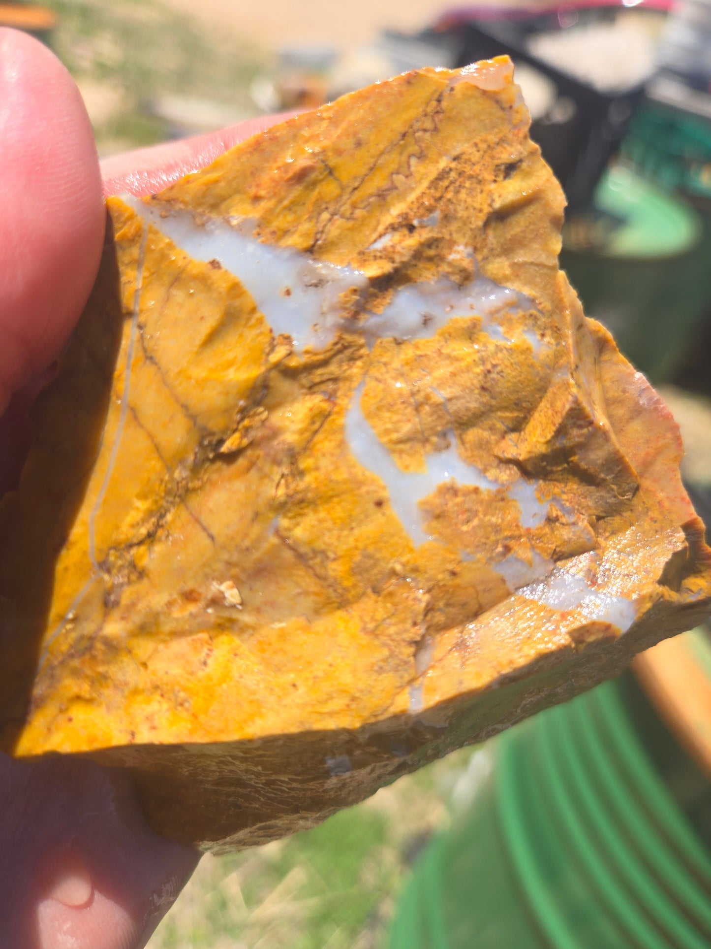 Jasper, Yellow: Canary Day