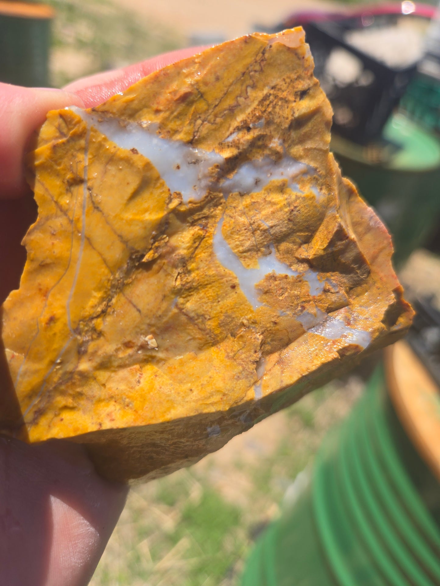 Jasper, Yellow: Canary Day