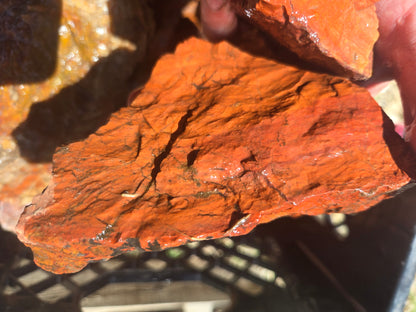 Jasper, Red: Paparika Red