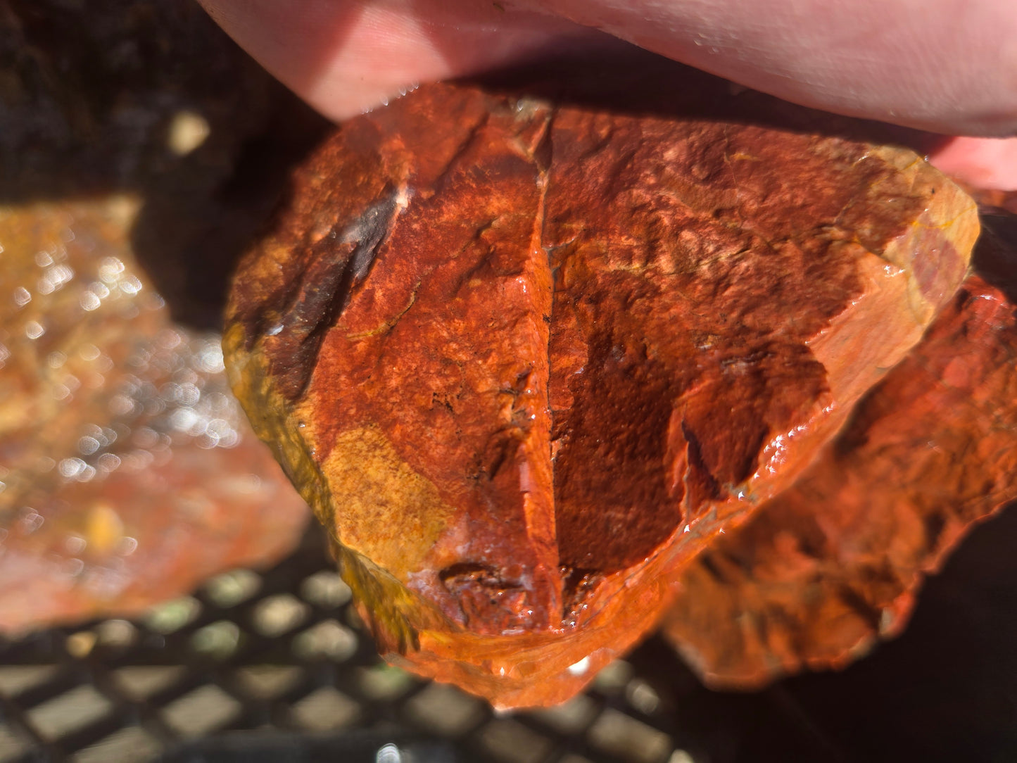 Jasper, Red: Paparika Red