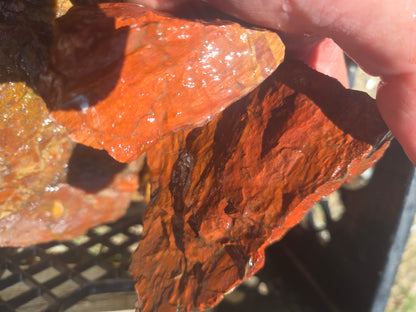 Jasper, Red: Paparika Red