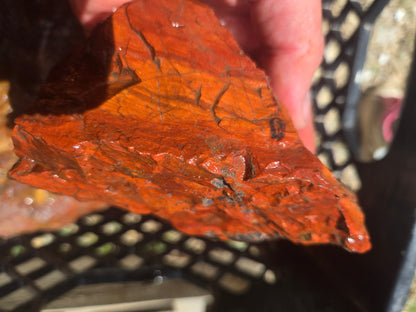 Jasper, Red: Paparika Red