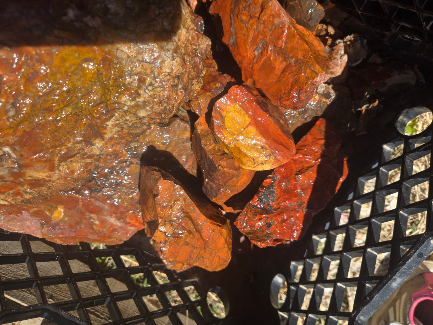 Jasper, Red: Paparika Red