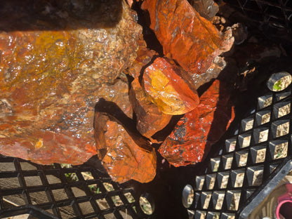 Jasper, Red: Paparika Red