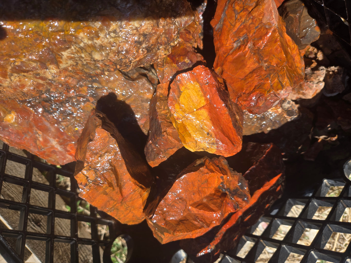 Jasper, Red: Paparika Red