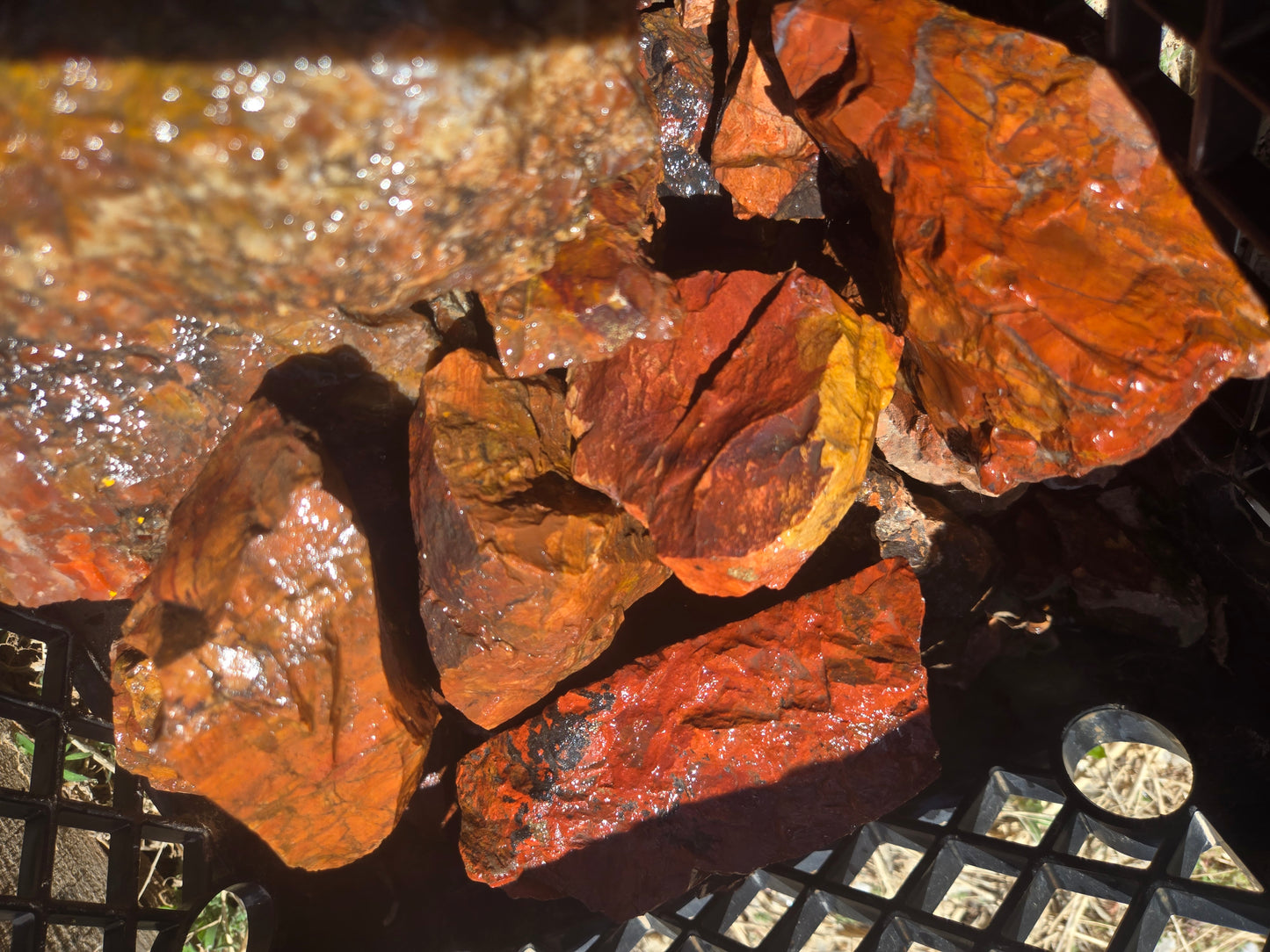 Jasper, Red: Paparika Red