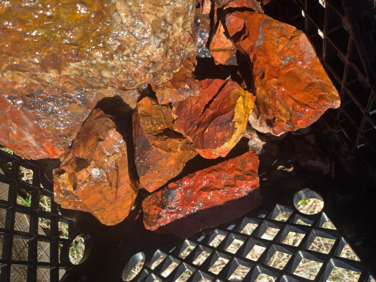 Jasper, Red: Paparika Red