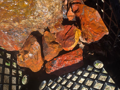 Jasper, Red: Paparika Red