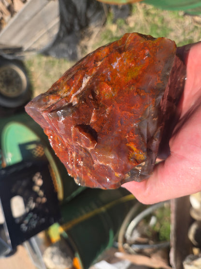 Jasper, Red: Paparika Red