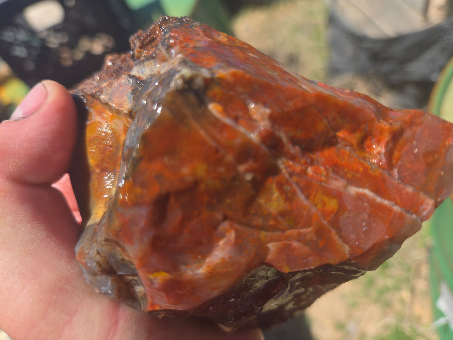 Jasper, Red: Paparika Red