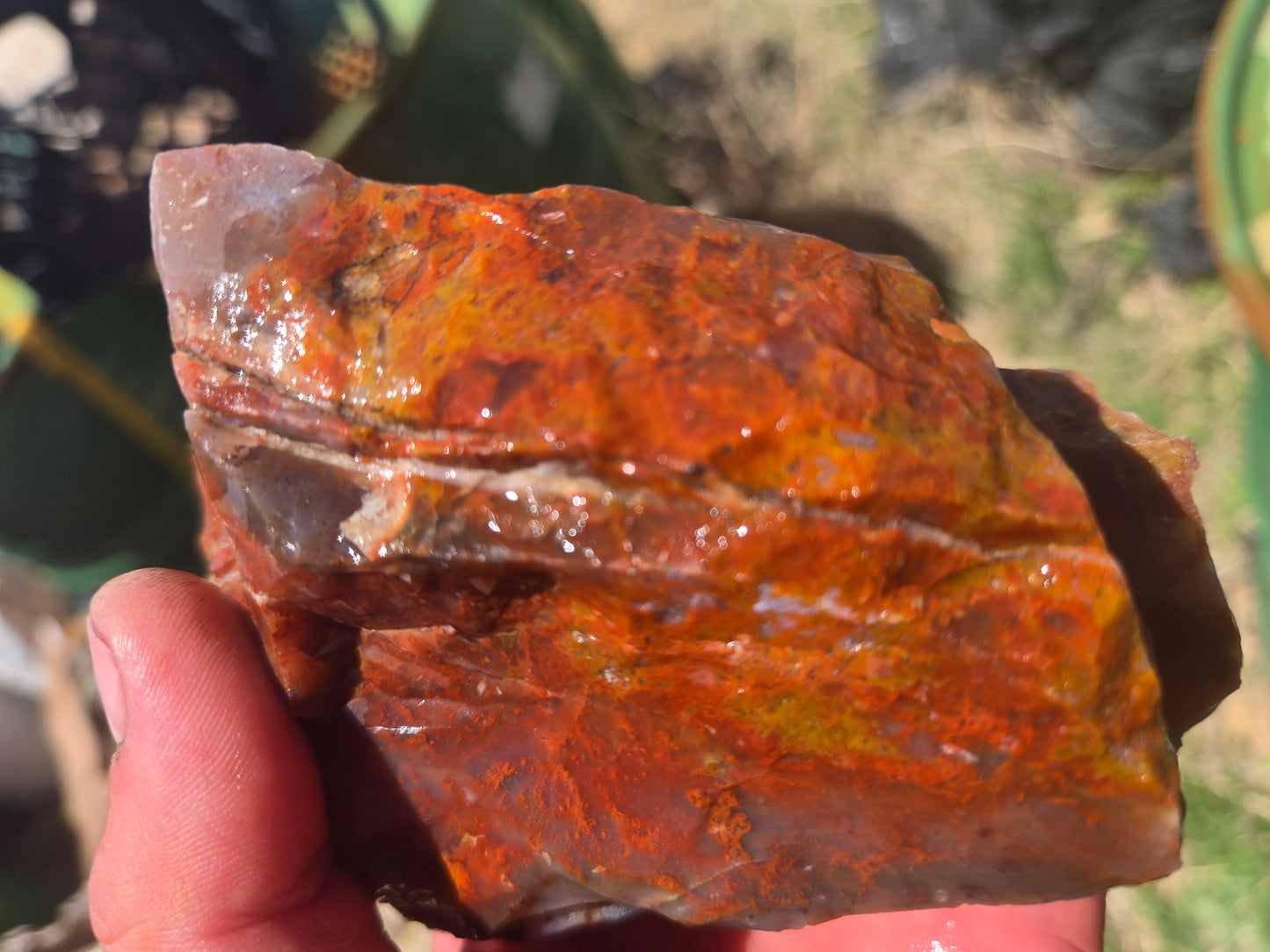 Jasper, Red: Paparika Red