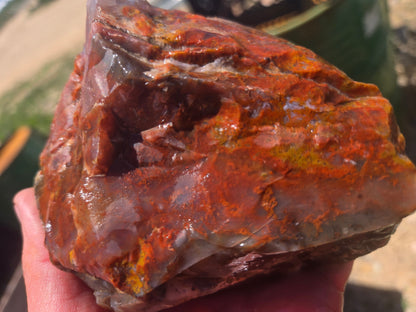 Jasper, Red: Paparika Red