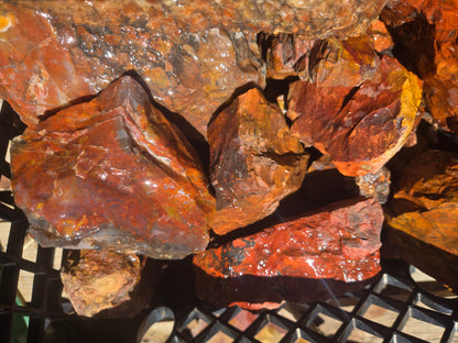 Jasper, Red: Paparika Red