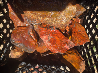 Jasper, Red: Paparika Red
