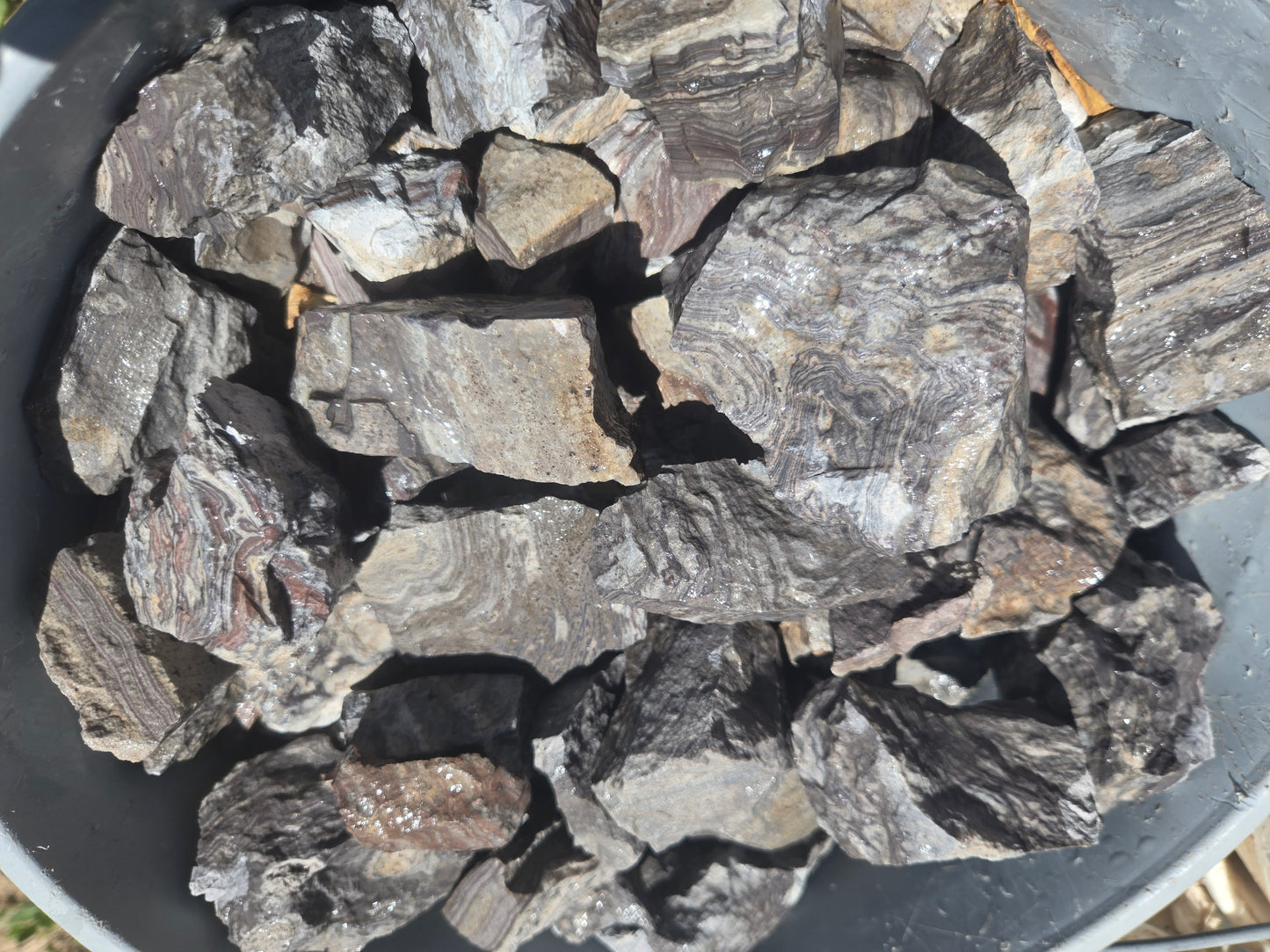 Wonderstone: Purple Banded