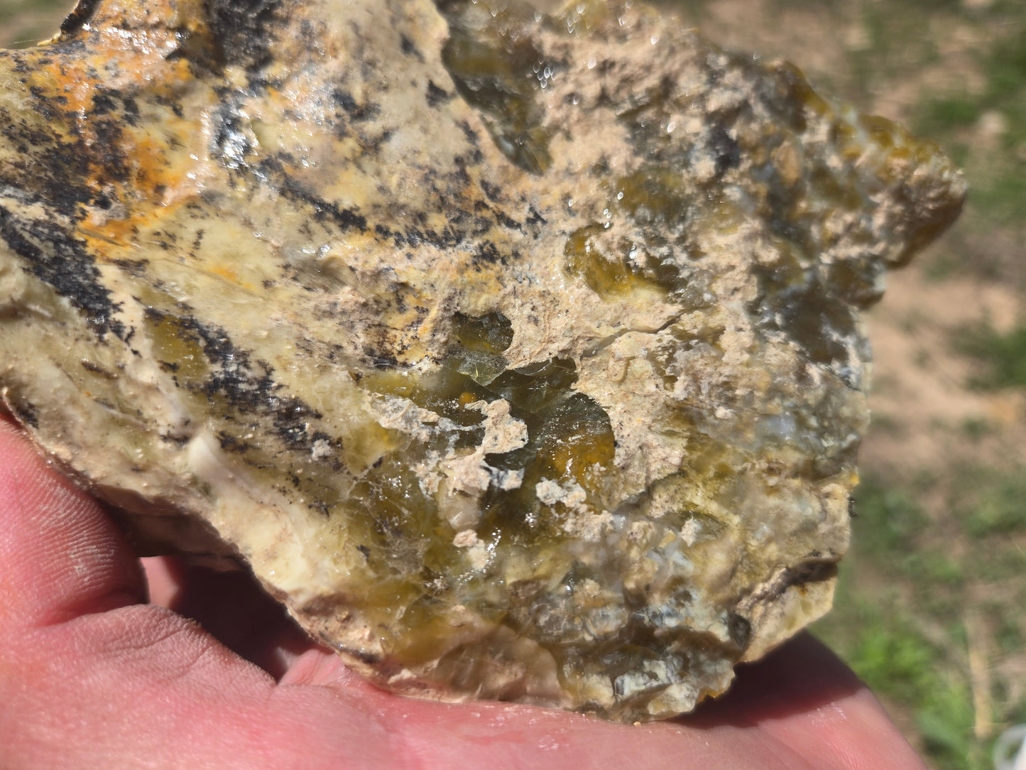 Lemon Opal