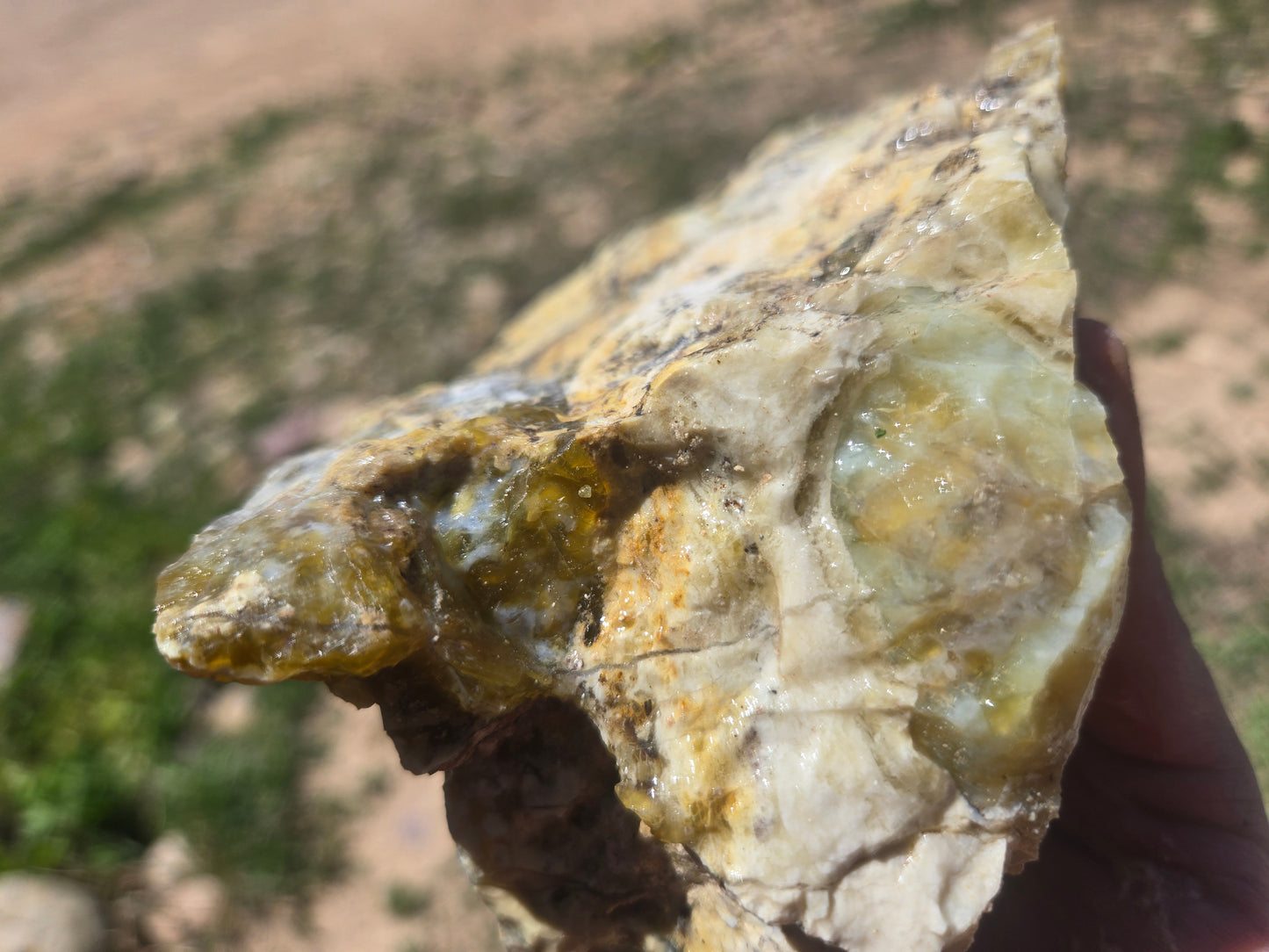 Lemon Opal