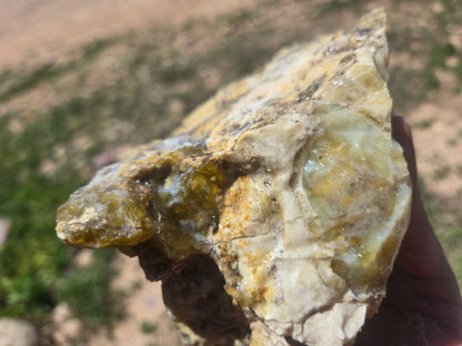 Lemon Opal