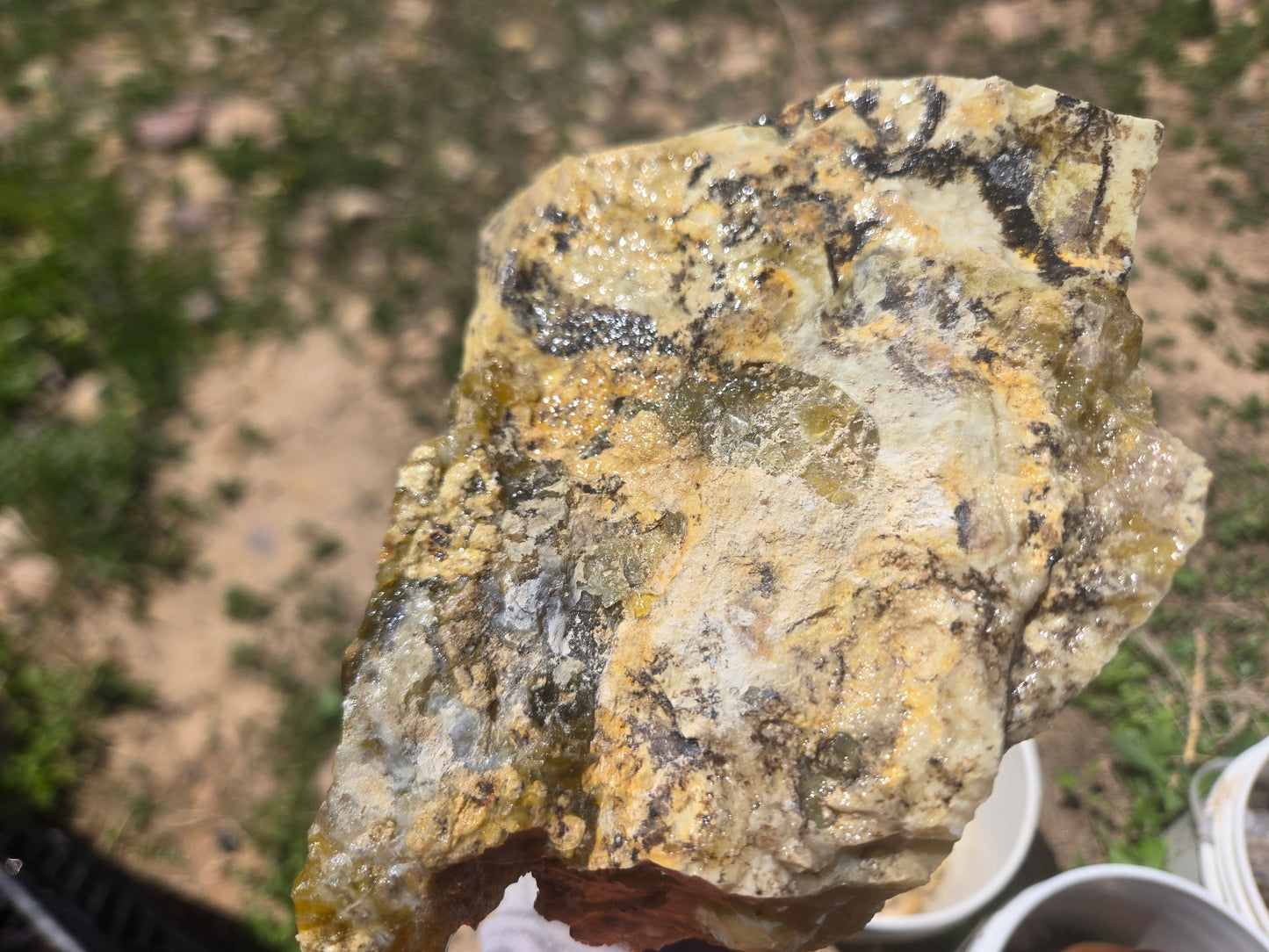 Lemon Opal