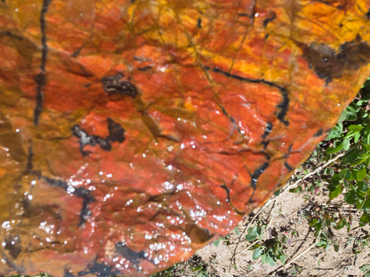 Jasper, Red: Paparika Red
