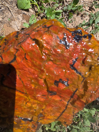 Jasper, Red: Paparika Red
