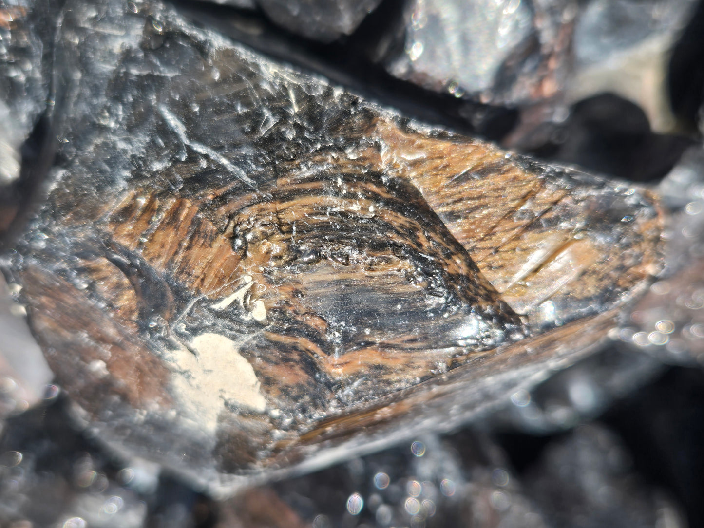 Obsidian, Golden Sheen