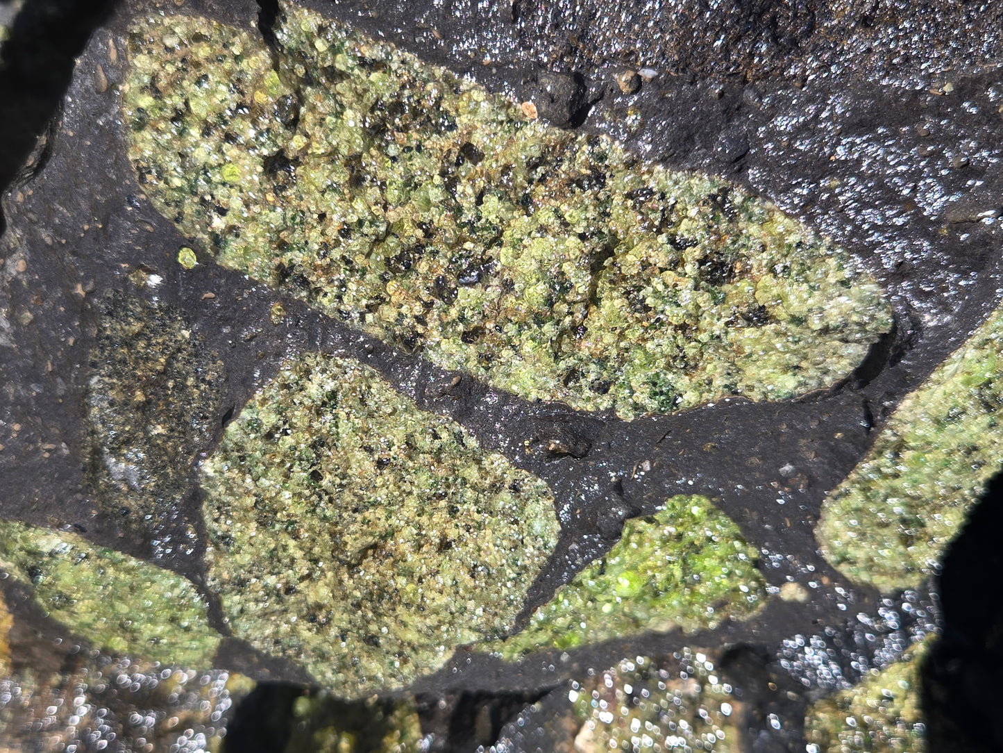 Peridot in Basalt Matrix
