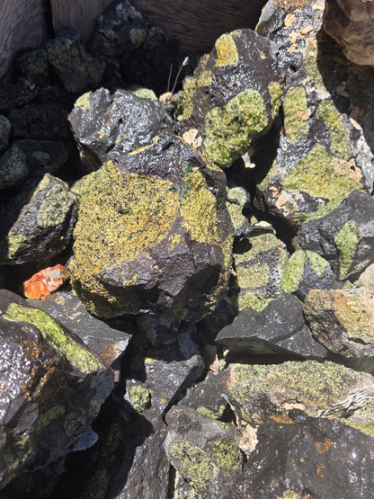 Peridot in Basalt Matrix