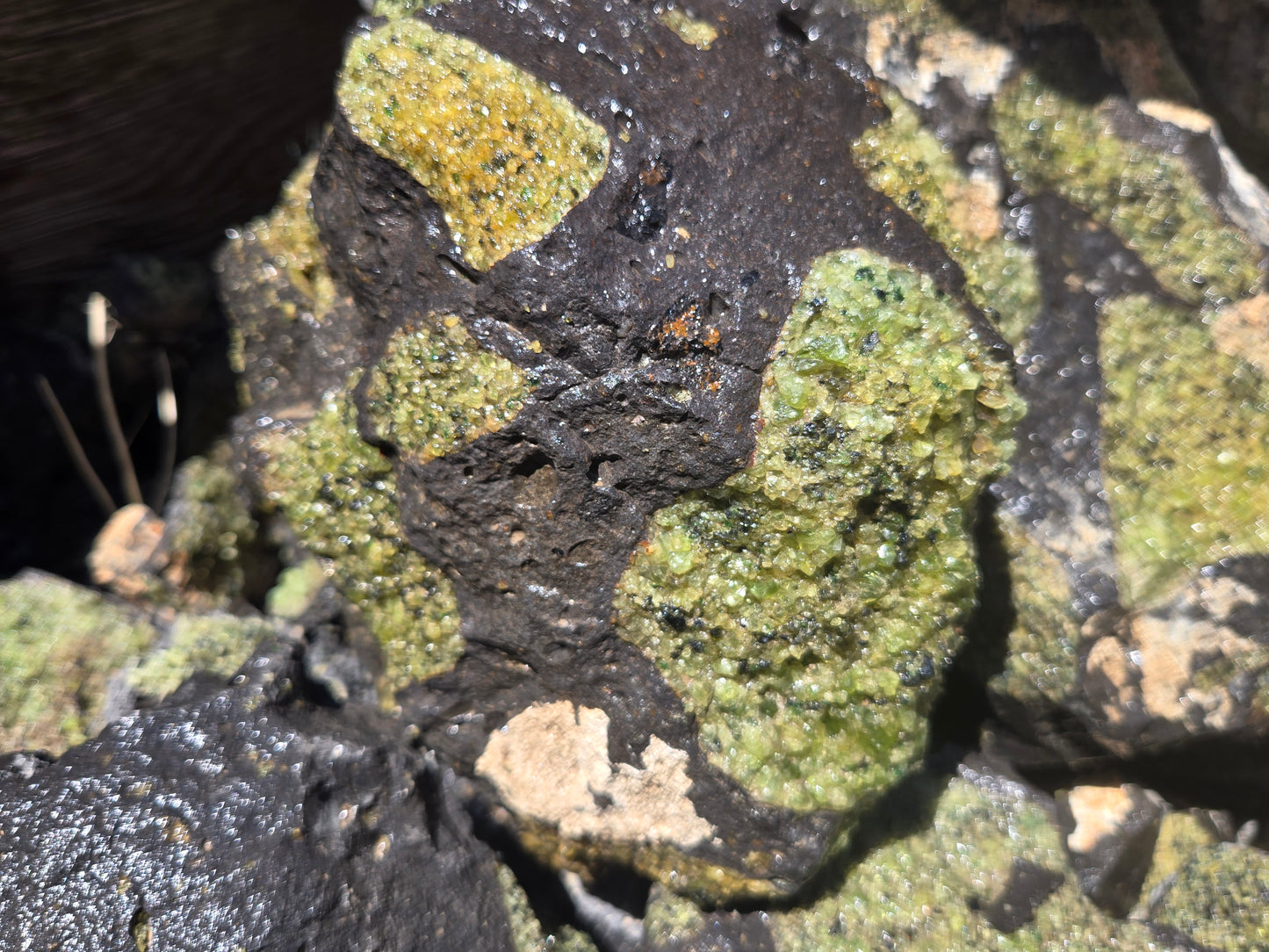 Peridot in Basalt Matrix