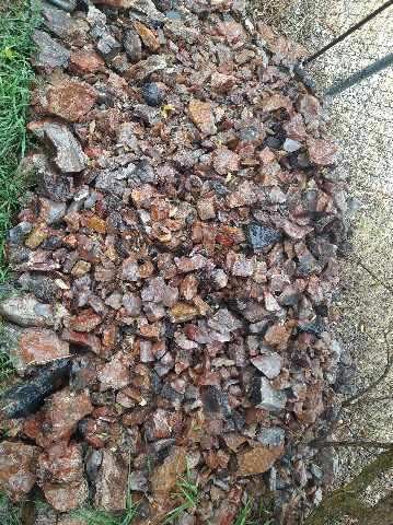 Petrified Wood: Colorful/Rainbow/Red