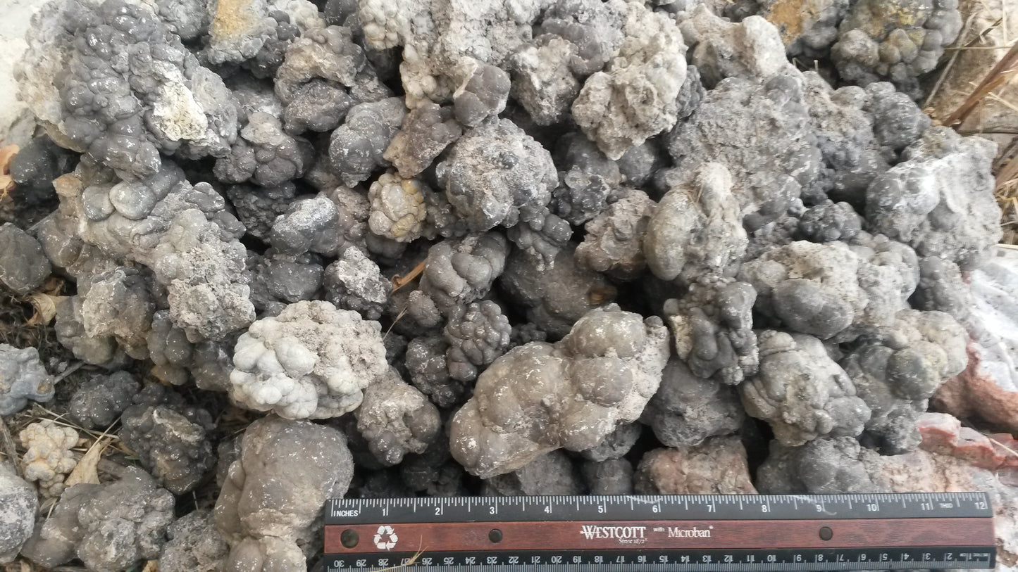 Barite Nodules, Barite after Coprolite: Rare Earth Nodules