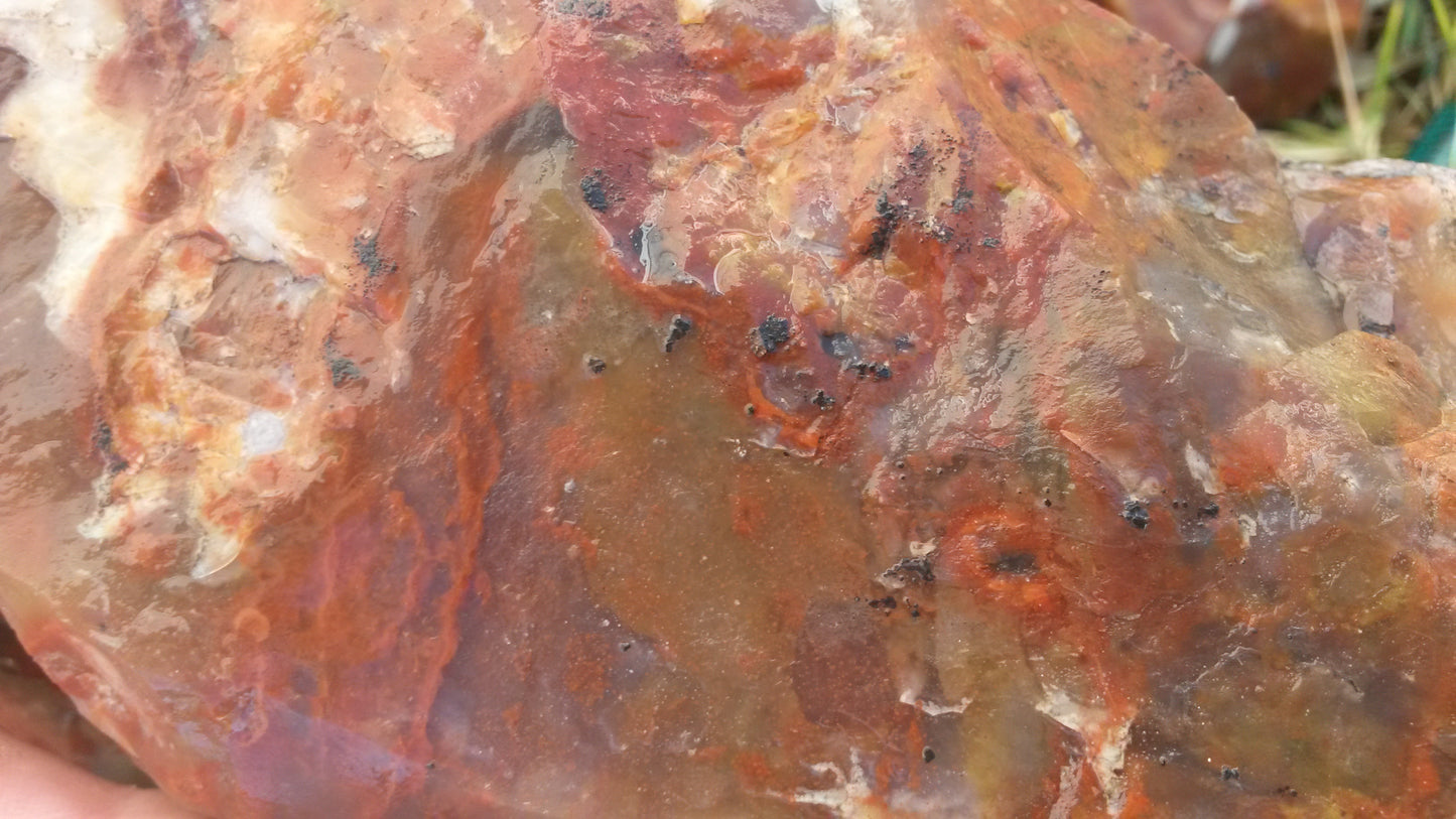 Blood Swirl Agate; Red Agate