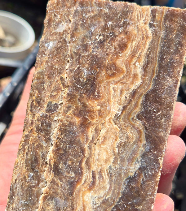 Rootbeer Onyx