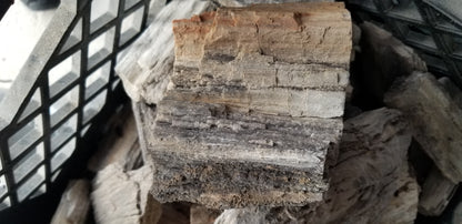 Petrified Wood: Dark