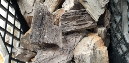 Petrified Wood: Dark