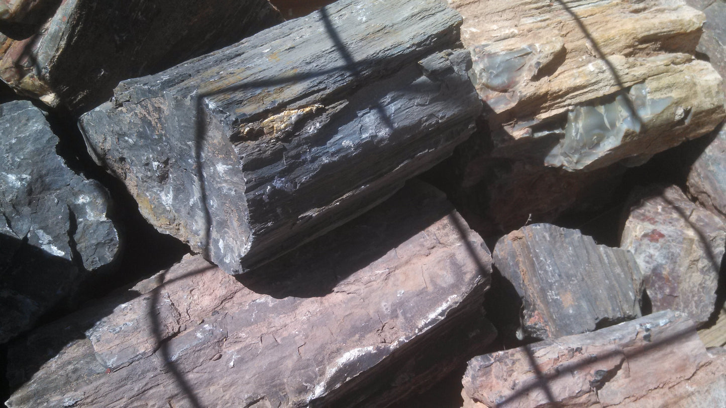 Petrified Wood: Dark