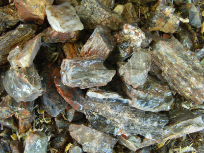 Petrified Wood: Colorful/Rainbow/Red